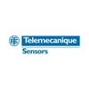 Telemecanique Logo