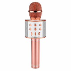 Karaoke Microphones