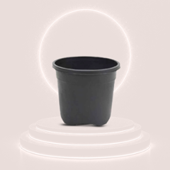 Plant Pots