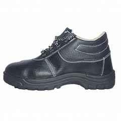 tiger safety shoes price list
