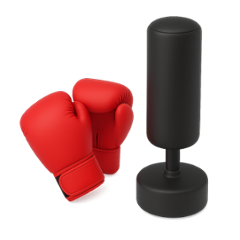 Boxing Gear