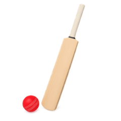 Cricket Gear