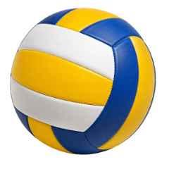 Volleyballs