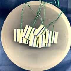 Neurosurgical Patties