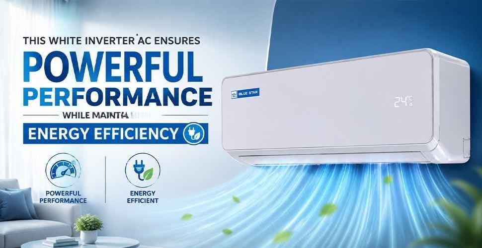 manufacturer details for
