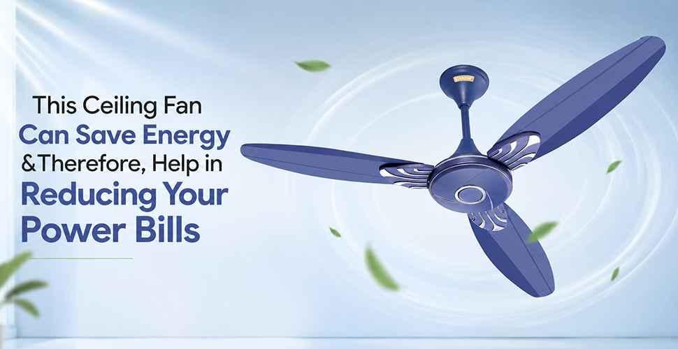 manufacturer details for