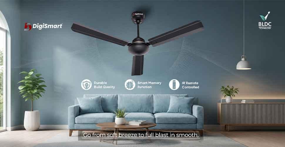 manufacturer details for