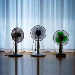 Pedestal Fans