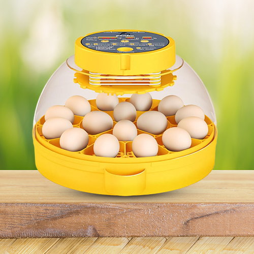 Egg Incubators