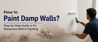 How to Paint Damp Walls? Step-by-Step Guide to Fixing Dampness Before Painting