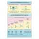 Orient Quadro Ornamental 70W Silver Blue Ceiling Fan, Sweep: 1200 mm