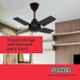 Sameer Gati 600mm 4 Blade Brown Ceiling Fan