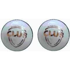 PRO Sports Cricket Leather Ball (Pack of 2)