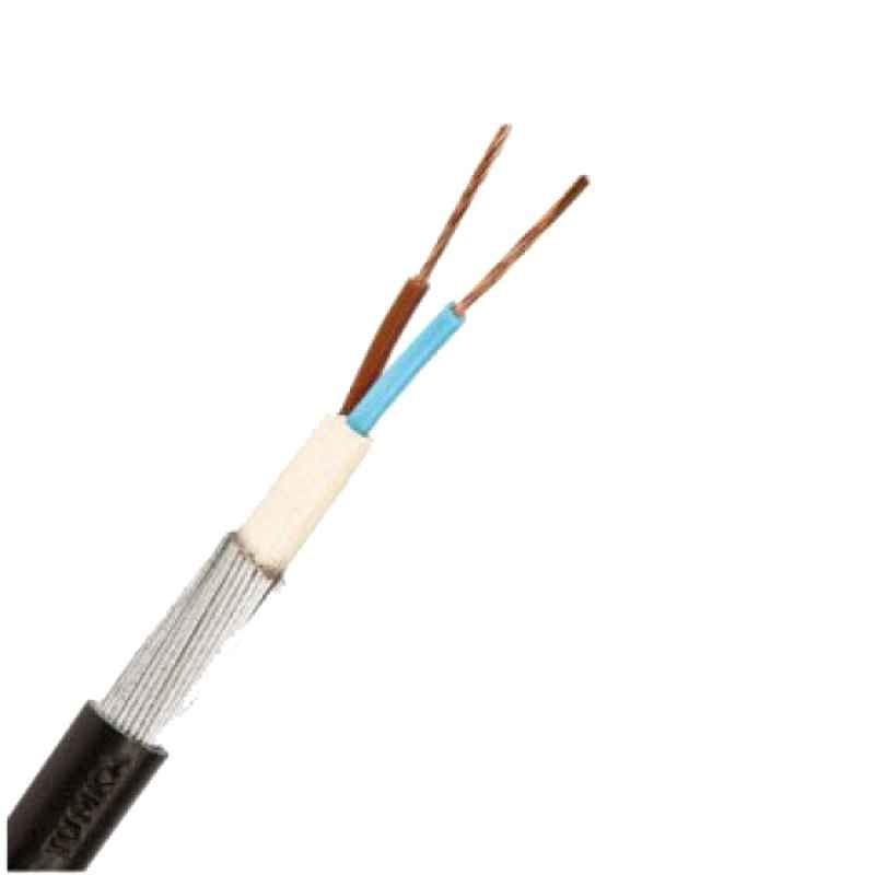 Polycab 2.5 Sqmm 2 Core Copper Armoured Low Tension Cable, 2XFY, Length: 100 m