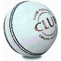 MD Enterprises Hand Stitched Premium Quality Two-Piece Construction Cricket Leather Ball (Standard White)