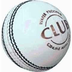 Shourya Traders White Leather Cricket Ball