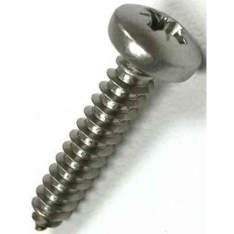 RAJ Stainless Steel Pan Head Self Tapping Screw (Dia 6.00 mm, Length 32 mm) AISI 304