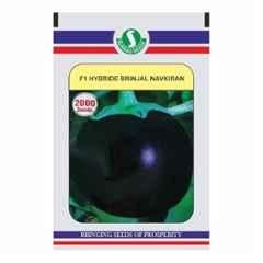 Sungro 2000 Pcs Navkiran Purple F1 Hybrid Brinjal Seed