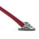 3M Littmann 27 inch Burgundy Tube Cardiology Stethoscope, 2163