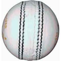 HTM T-20 Cricket Leather Ball