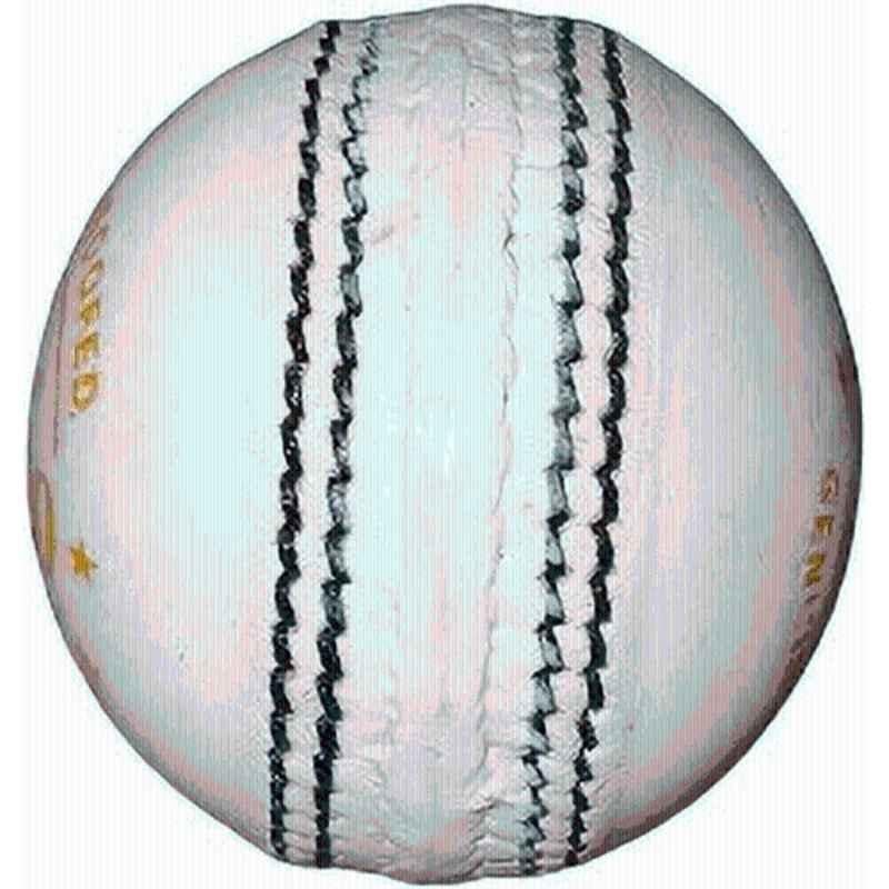 HTM T-20 Cricket Leather Ball