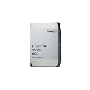 Synology Enterprise 16TB SAS Hard Disk Drive, HAS5300-16T