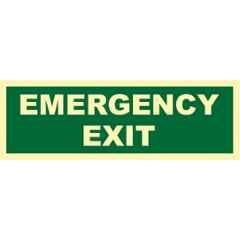 Telly Safety 4x12 inch Vinyl Emergency Exit Sign Direction Board