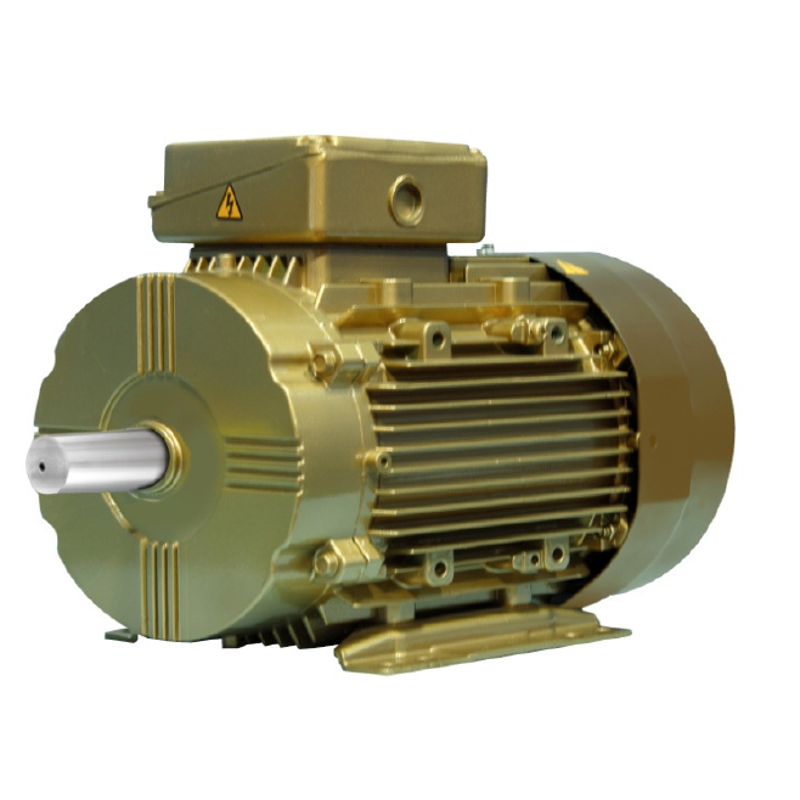 Crompton IE2 Flame Proof 0.75HP Four Pole Squirrel Cage Flame Proof Induction Motors, E80