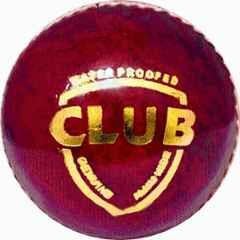 SSI Club Red Leather Cricket Ball