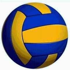 Swati Traders Standard Multicolour Volleyball with Size & Weight Needle, Size: 5