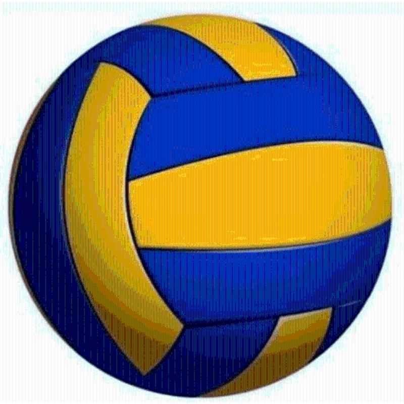 Swati Traders Standard Multicolour Volleyball with Size & Weight Needle, Size: 5