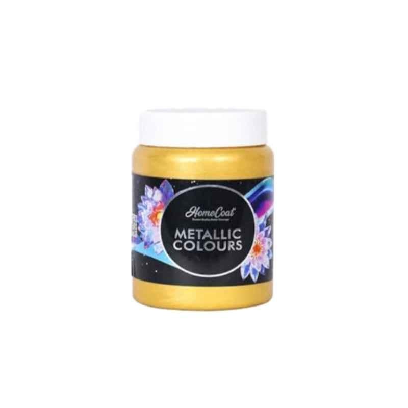 WinnerOne HomeCoat 500ml Brilliant Gold Acrylic Pearl Colour, PC 102 (Pack of 2)