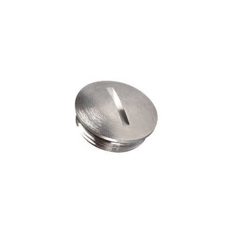 Raxton M20 IECEx Exde Male Thread Stainless Steel Slotted Head Stopping Plug, CSE1200R