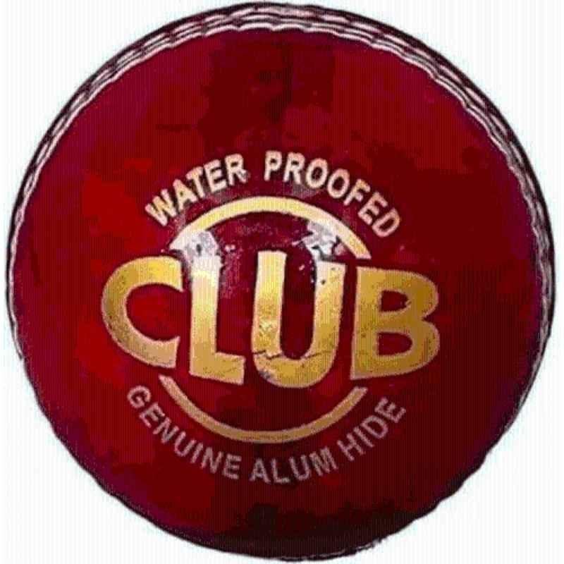 Zam Electronics Standard Red Professional Water Proof Cricket Leather Ball