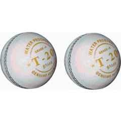 HTM Grade A T-20 White Leather Cricket Ball (Pack of 2)