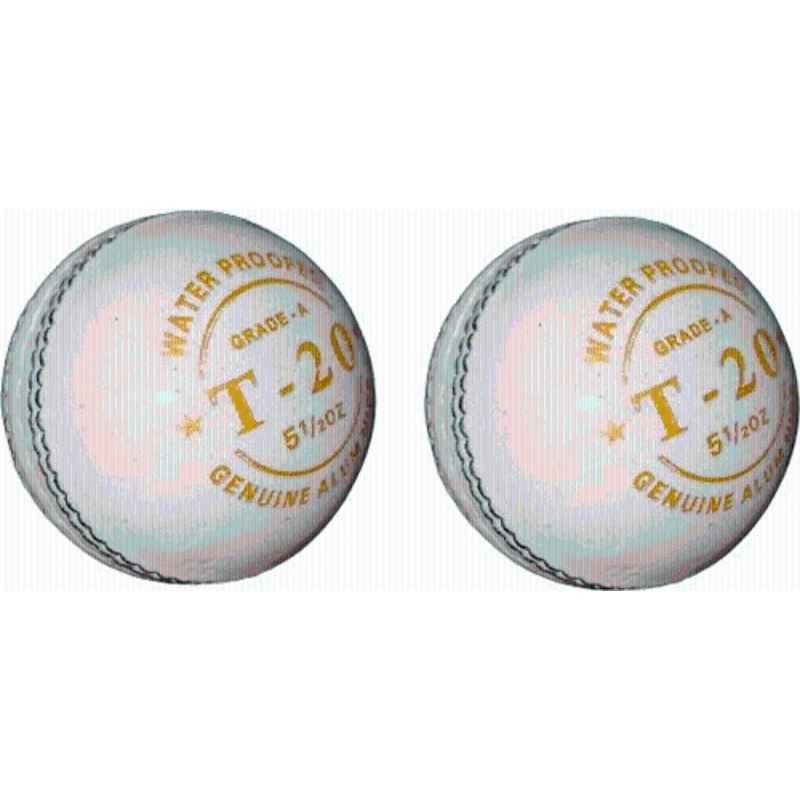 HTM Grade A T-20 White Leather Cricket Ball (Pack of 2)