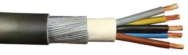 Buy Polycab 16 Sqmm 2 Core Copper Armoured Low Tension Cable, 2XWY, Length:  100 m, Voltage: 650-1100 V Online At Best Price On Moglix