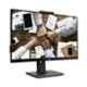 Acer B227Q 21.5 inch IPS Full HD FHD Adjustable Webcam LED Monitor for Work & Study, UM.WB7SI.D01
