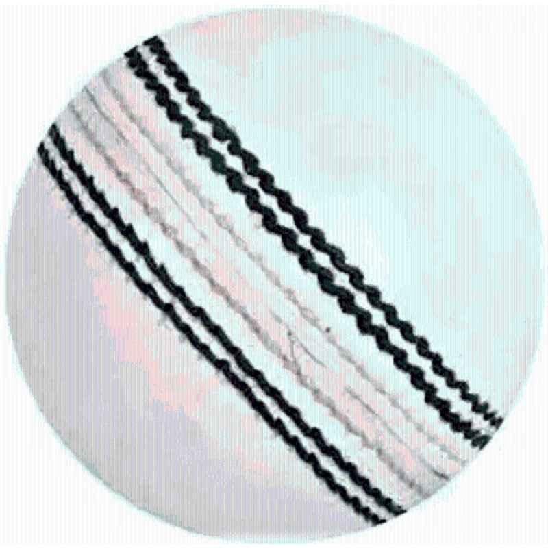 SSI Premium White Leather Cricket Ball