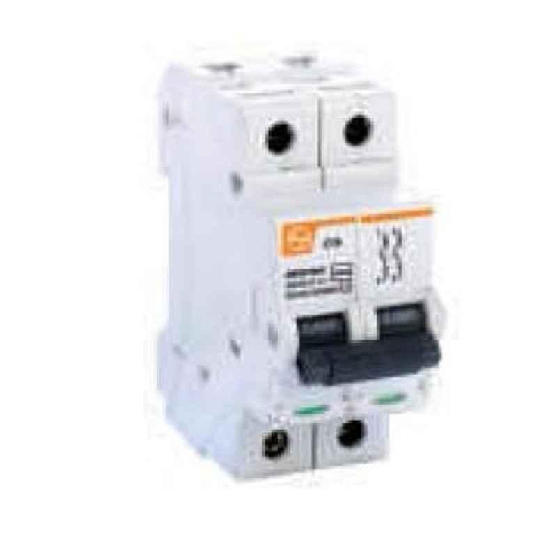 L&T 15kA 4A Double Pole MCB, BB20040D