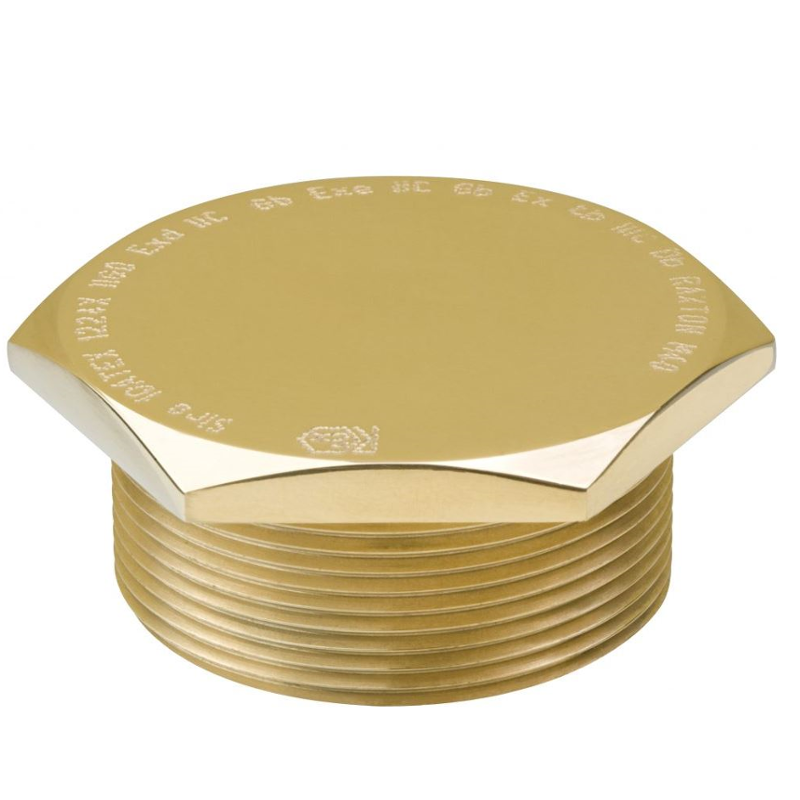 Raxton M40 Aluminium Male Thread Hex Head Stopping Plug, CKB1500A