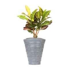 Blume Colosseum 14 inch Light Grey Stone Plastic Flower Pot