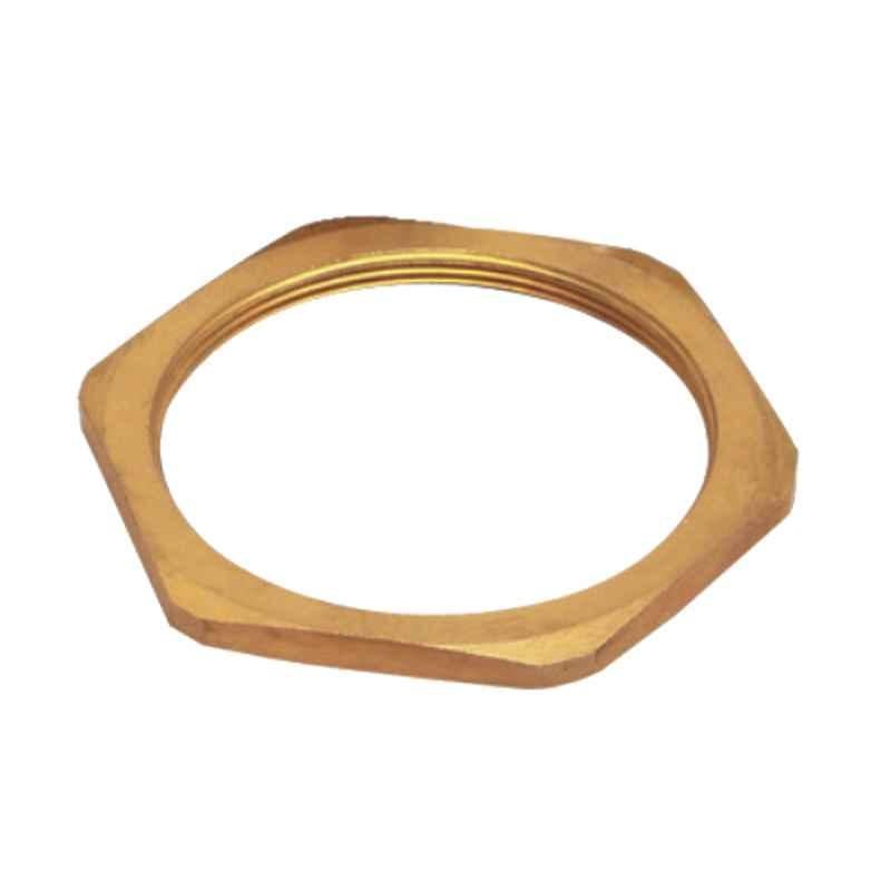 Raxton 3/4 inch NPT Female Stainless Steel Earthing Locknut, DNE0043