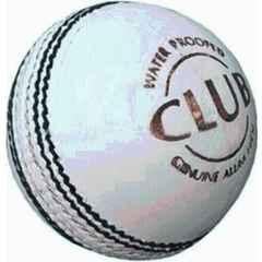 LSI Sports White Cricket Leather Ball