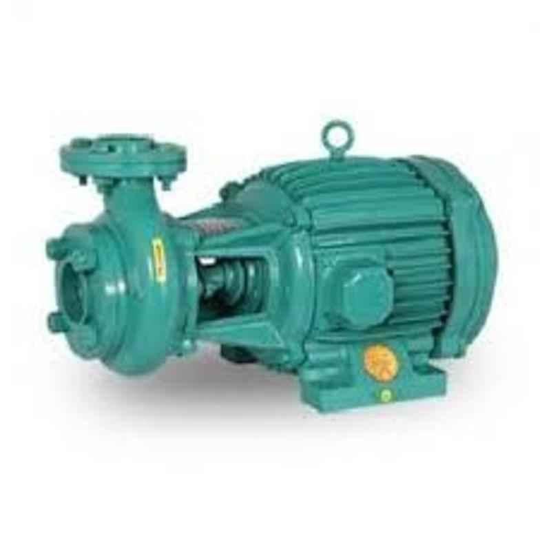 Lubi LBI 5HP 2880rpm Single Phase TEFC Monoblock Pump, LBI-115H