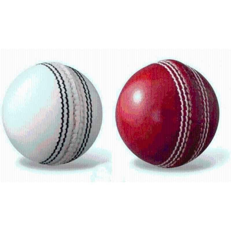 Shaspo Best Quality Premium Quality Cricket Leather Ball (Standard) (Pack of 2)