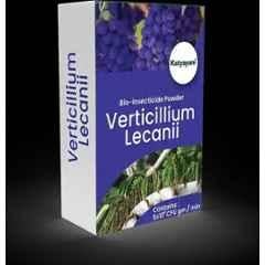 Katyayani 1kg Verticillium Lecanii Bio Insecticide Powder, K-5168 (Pack of 3)