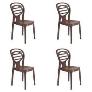 Supreme Oak Globus Brown Chairs (Pack of 2)