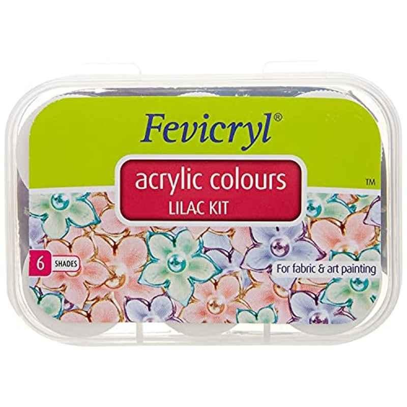 Pidilite 60ml Multicolor Glossy Fevicryl 6 Shades Acrylic Colour Lilac Kit
