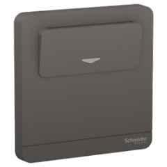 Schneider Electric AvatarOn 16A 250V Polycarbonate Dark Grey Card Switch, E8331EKT_DG